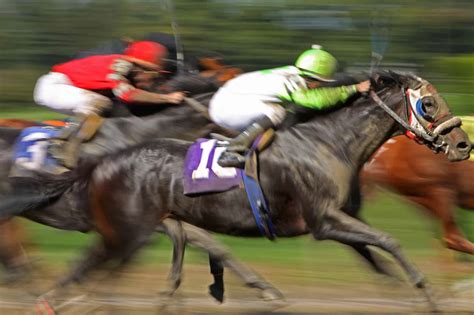 Horse Racing Best Odds Guaranteed .